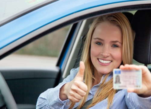 Driving Licence, Driving licence renewal